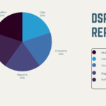 DSR meaning and its advantages