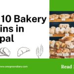 The Top 10 Bakery Chains in Bhopal: A Yummy Journey